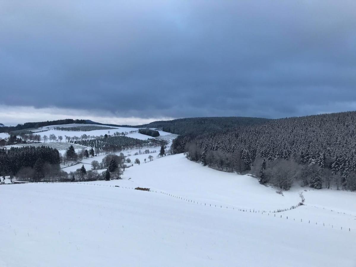 Appartement Familie Willems Winterberg Am Waltenberg Экстерьер фото